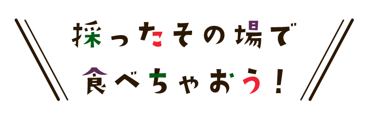 採ったその場で食べちゃおう！